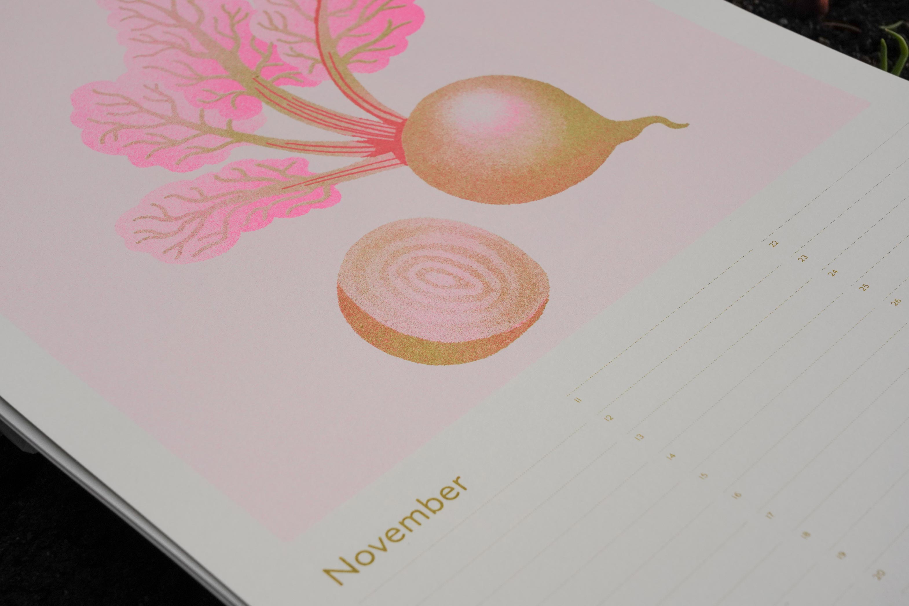 Gemüsekalender Risodruck - Patrizia Stalder - Isabelle Christ - Basel - Schweiz - Illustration - Komposition