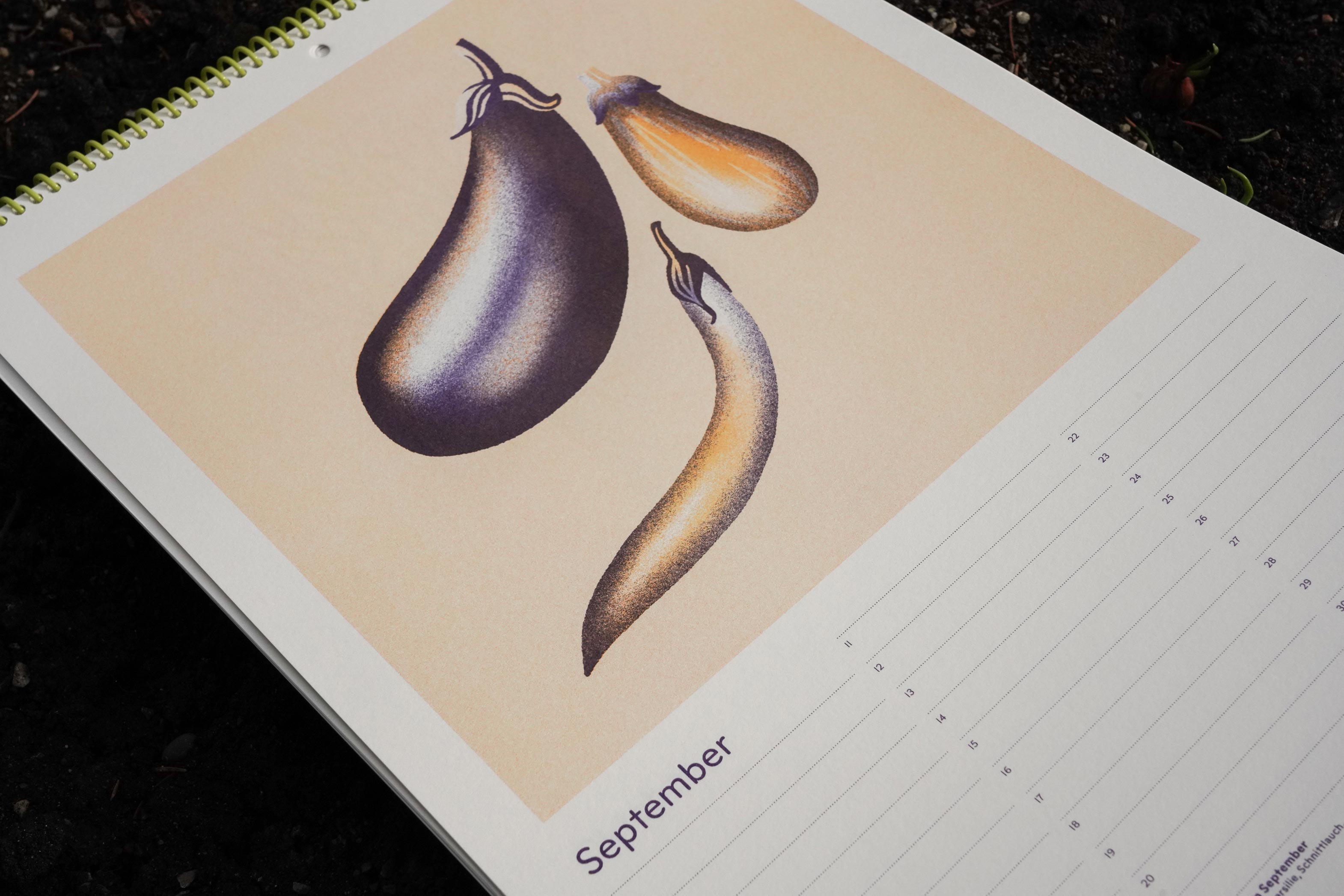 Gemüsekalender Risodruck - Patrizia Stalder - Isabelle Christ - Basel - Schweiz - Illustration - Komposition