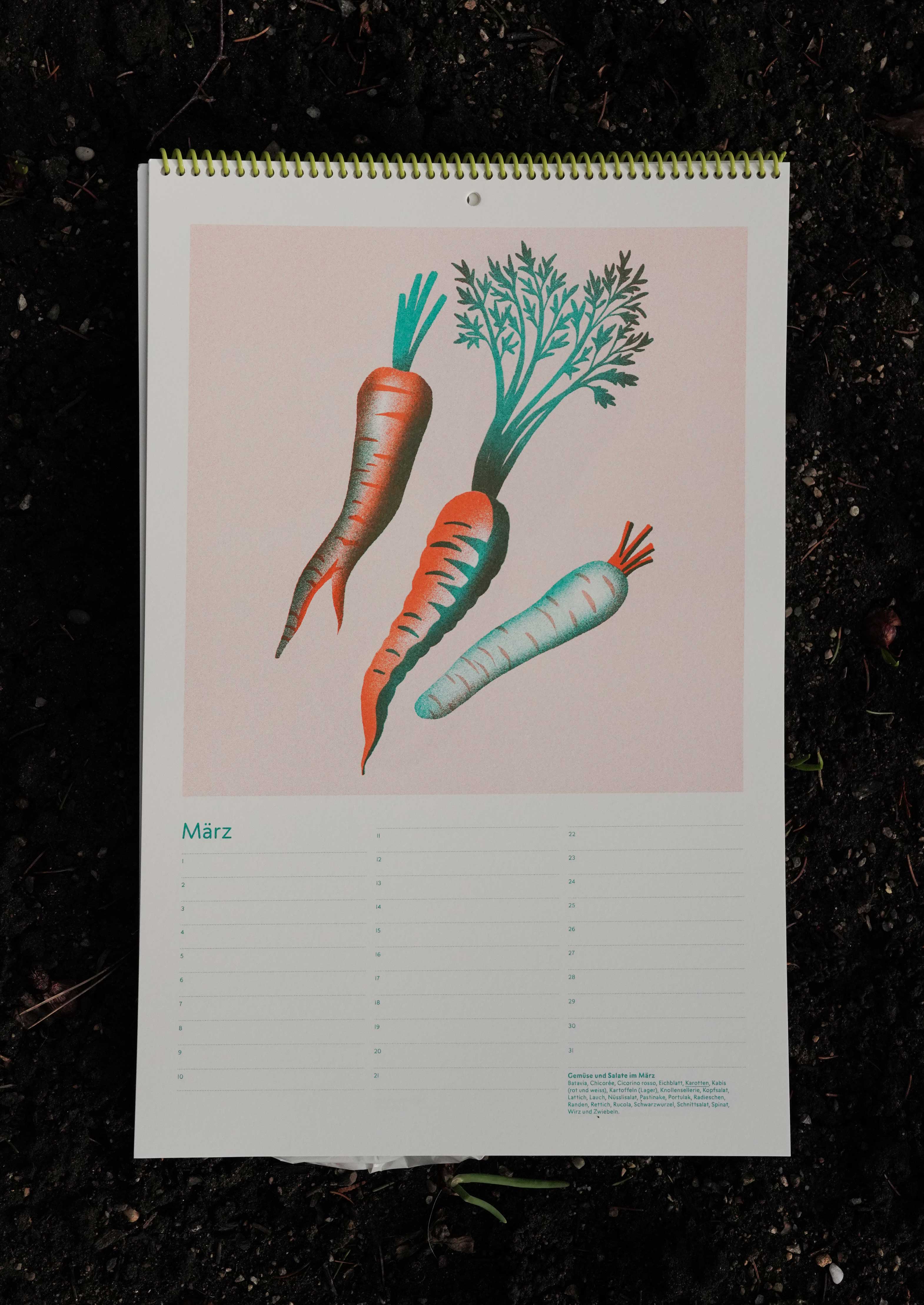 Gemüsekalender Risodruck - Patrizia Stalder - Isabelle Christ - Basel - Schweiz - Illustration - Komposition