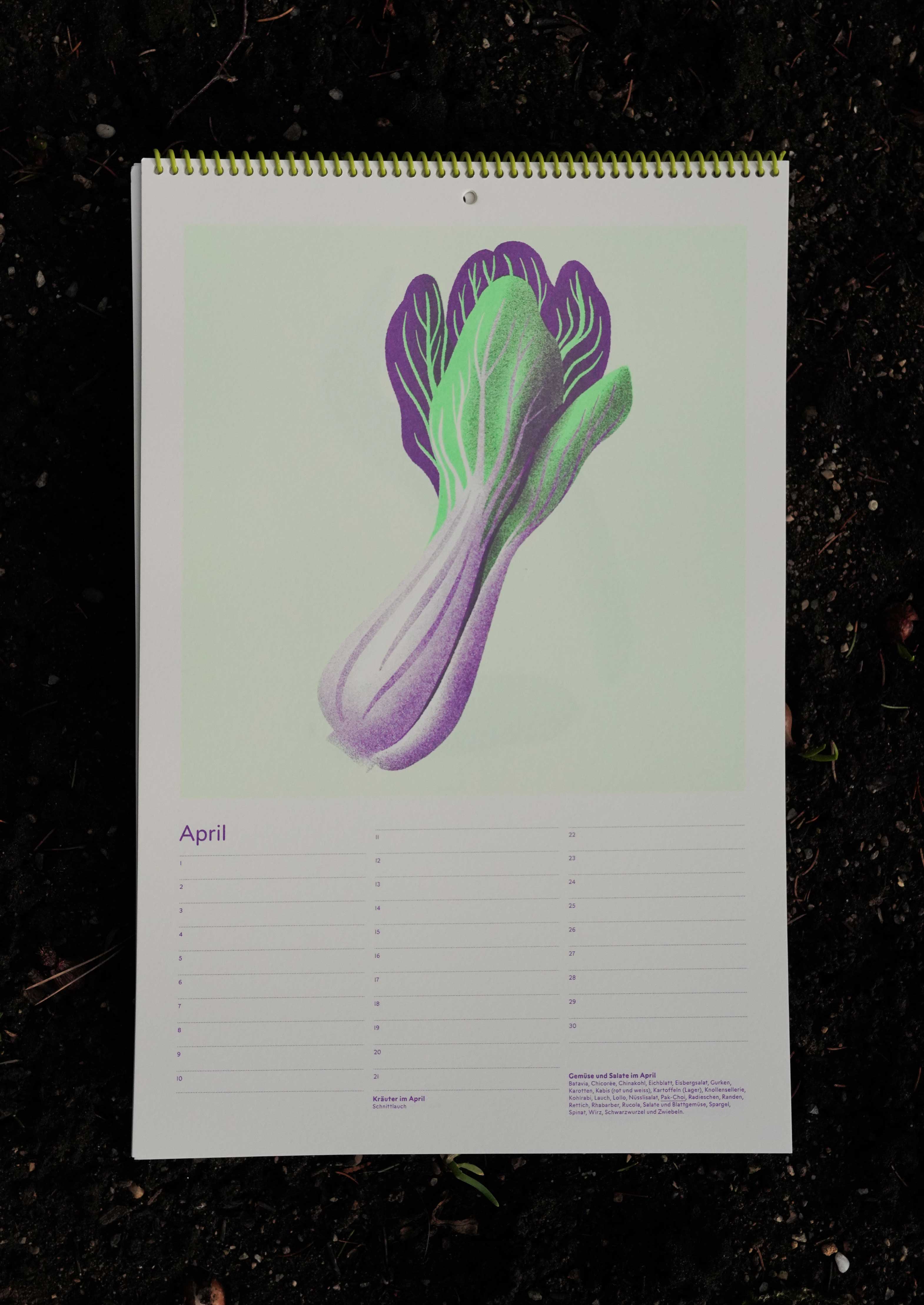 Gemüsekalender Risodruck - Patrizia Stalder - Isabelle Christ - Basel - Schweiz - Illustration - Komposition