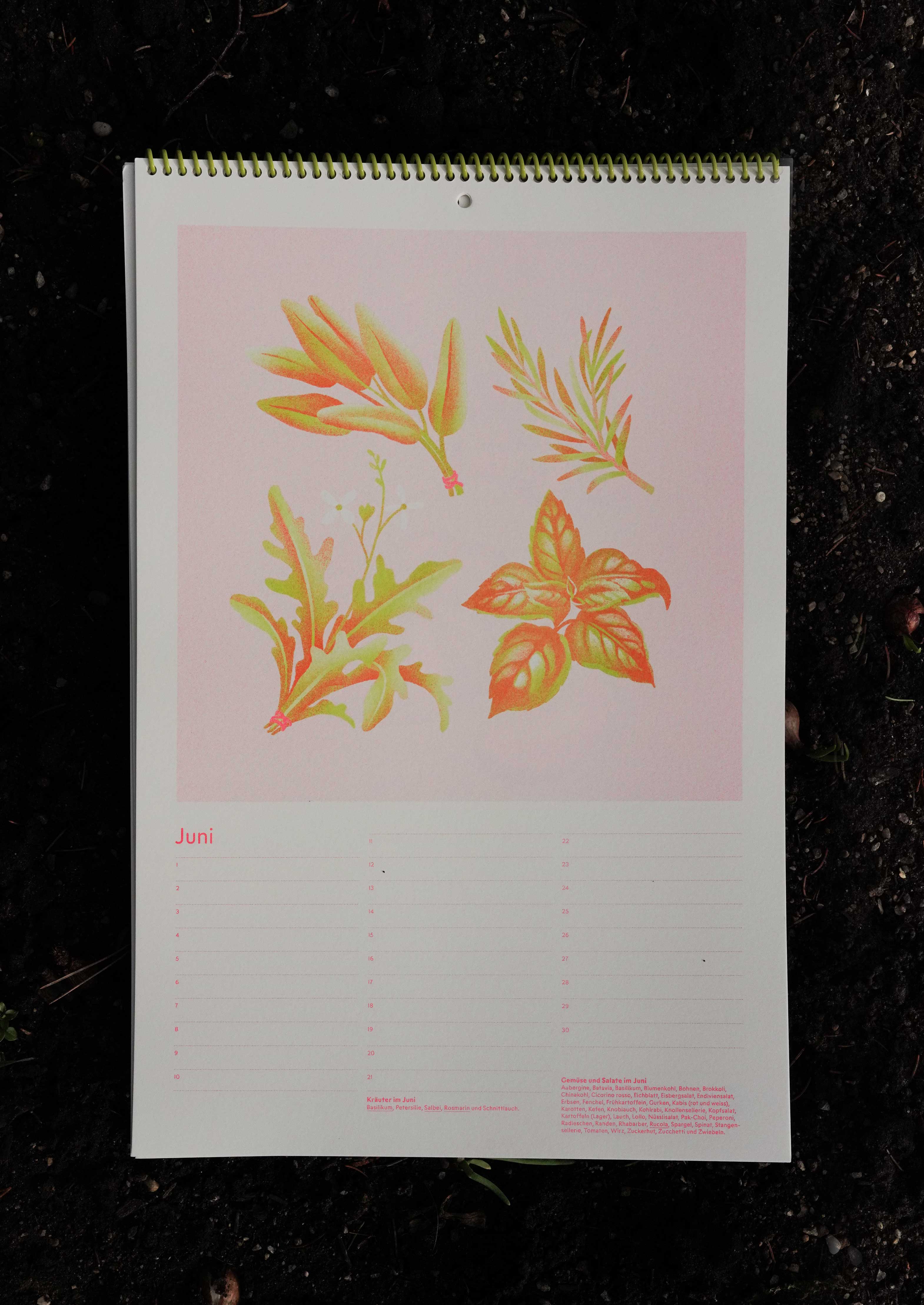 Gemüsekalender Risodruck - Patrizia Stalder - Isabelle Christ - Basel - Schweiz - Illustration - Komposition