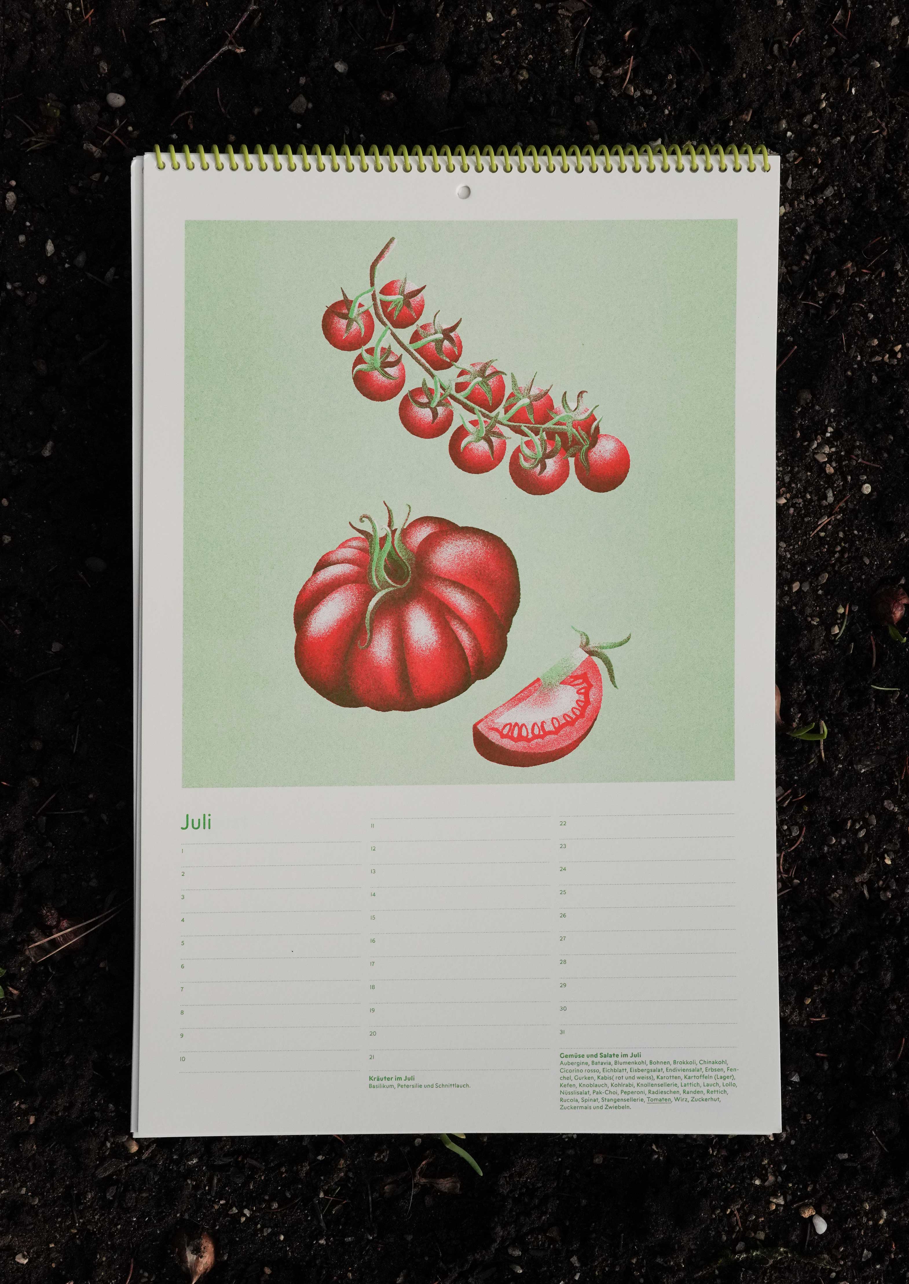 Gemüsekalender Risodruck - Patrizia Stalder - Isabelle Christ - Basel - Schweiz - Illustration - Komposition