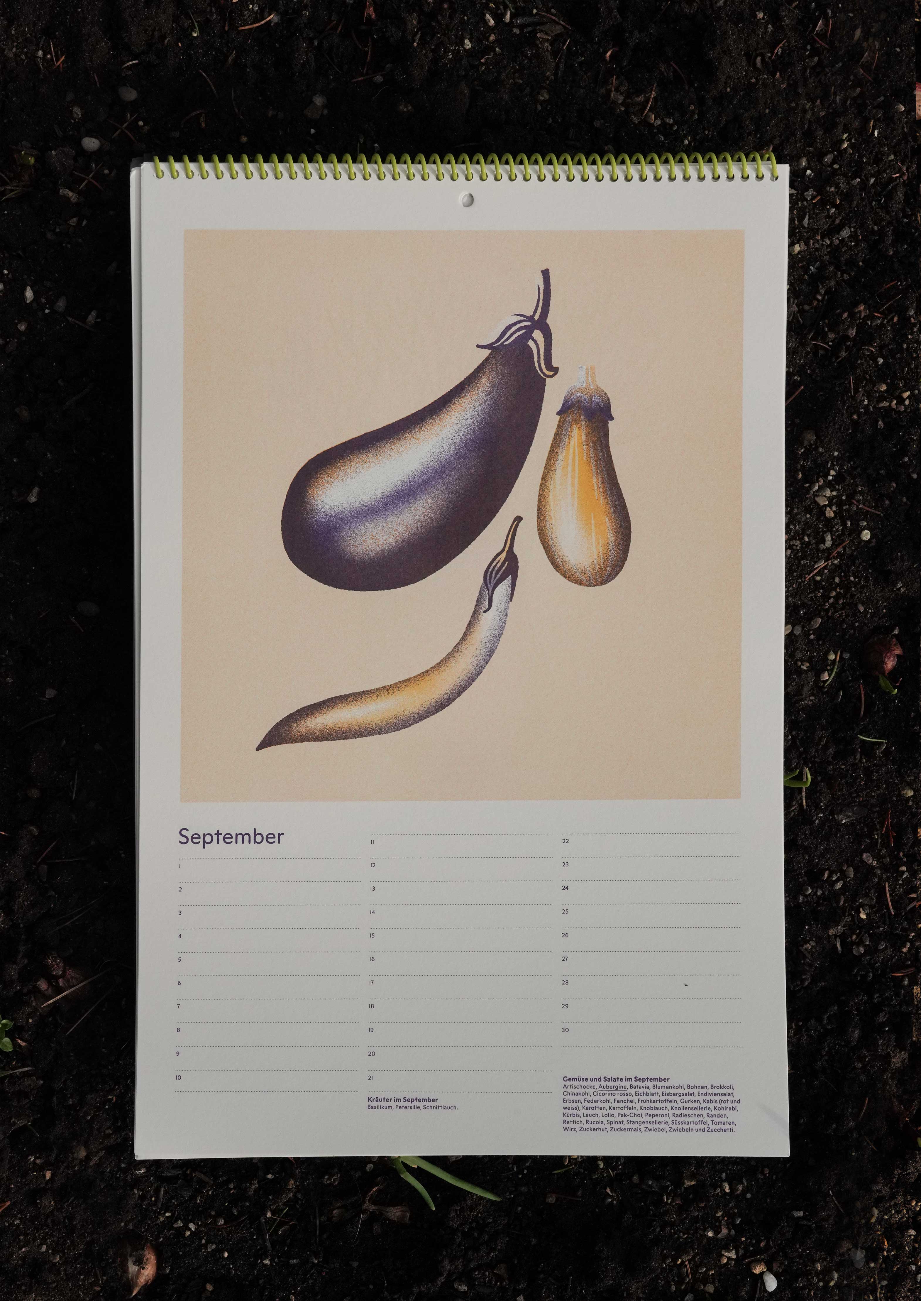 Gemüsekalender Risodruck - Patrizia Stalder - Isabelle Christ - Basel - Schweiz - Illustration - Komposition