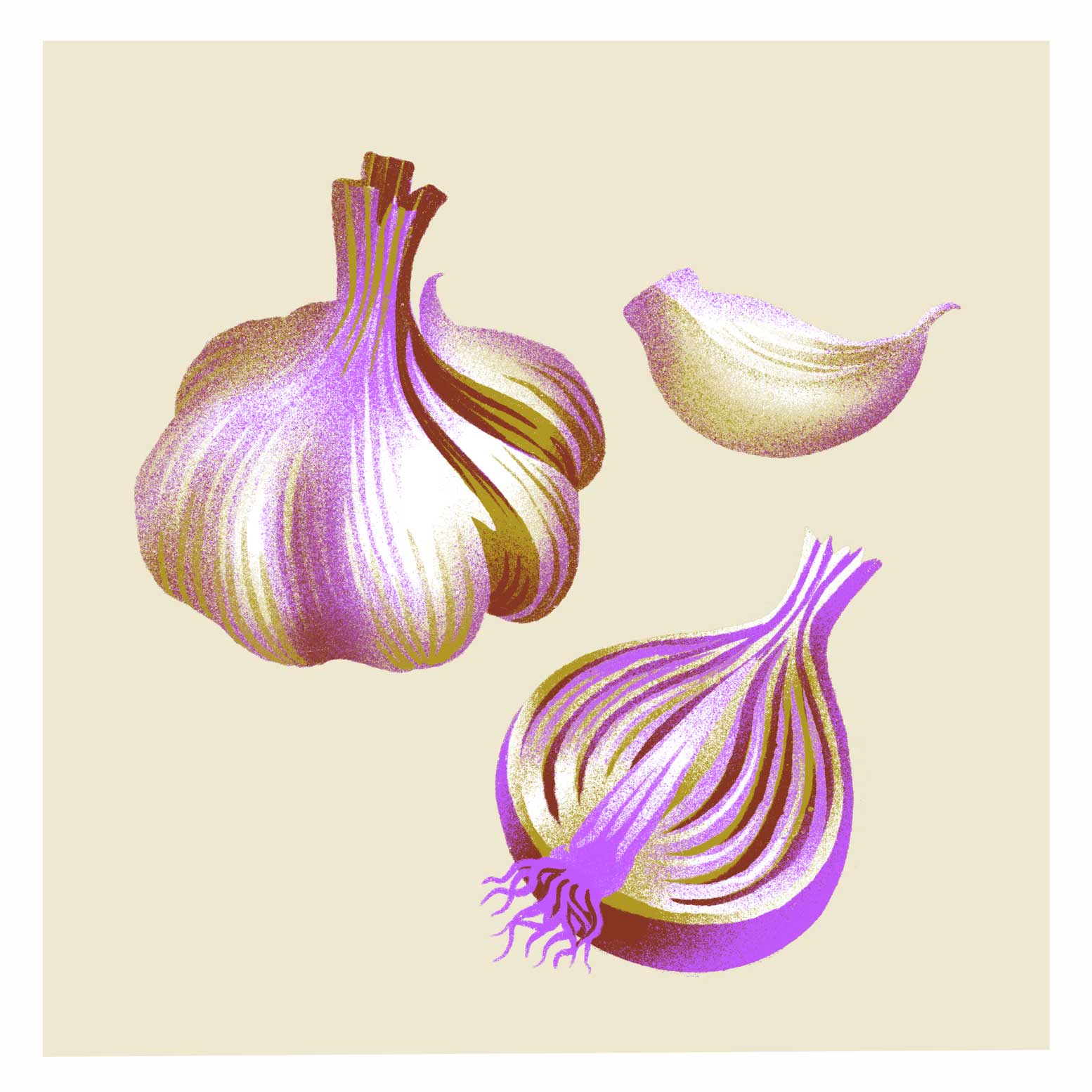 Gemüsekalender Risodruck - Patrizia Stalder - Isabelle Christ - Basel - Schweiz - Illustration - Komposition