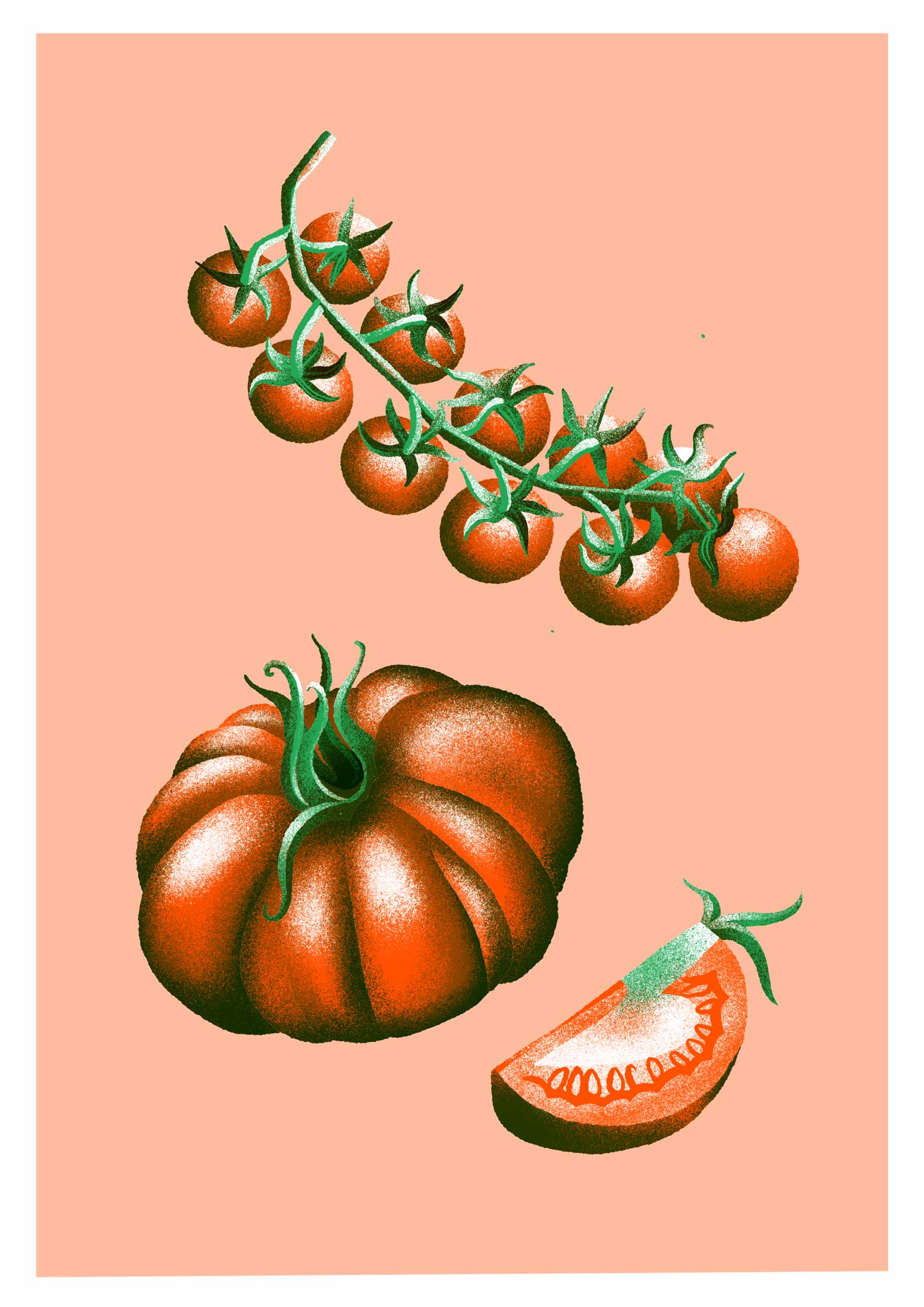 Gemüsekalender Risodruck - Patrizia Stalder - Isabelle Christ - Basel - Schweiz - Illustration - Komposition