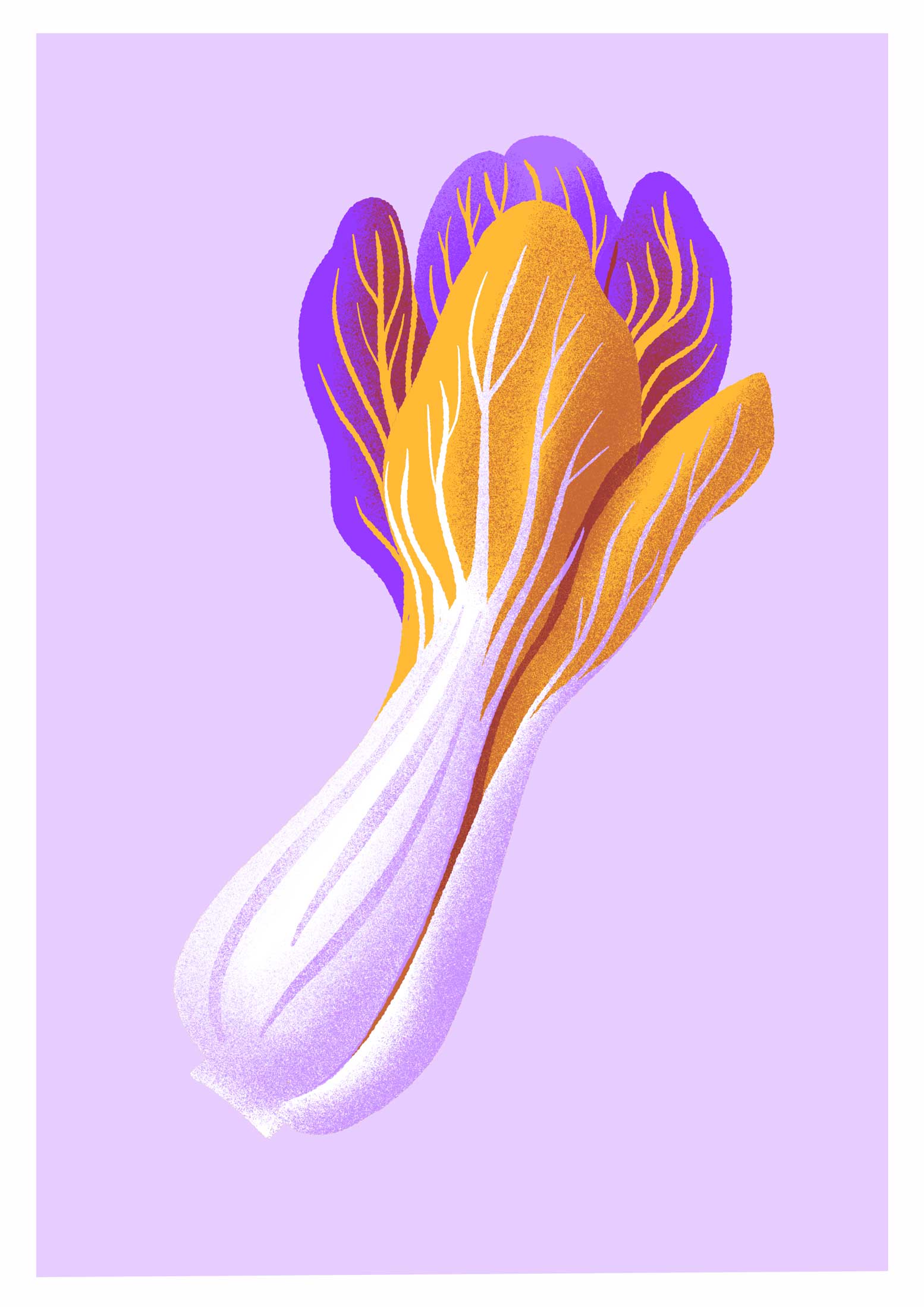 Gemüsekalender Risodruck - Patrizia Stalder - Isabelle Christ - Basel - Schweiz - Illustration - Komposition