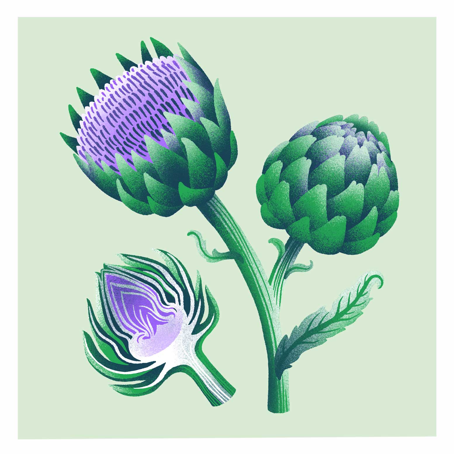 Gemüsekalender Risodruck - Patrizia Stalder - Isabelle Christ - Basel - Schweiz - Illustration - Komposition