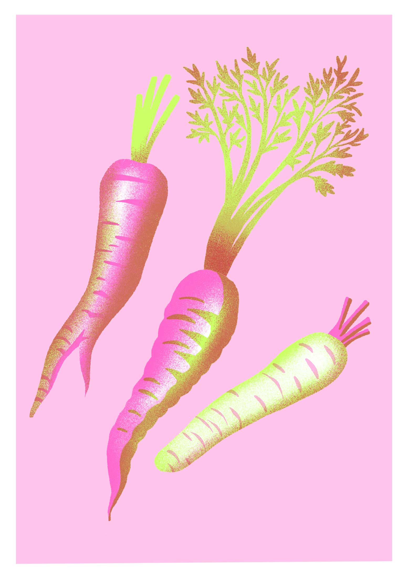 Gemüsekalender Risodruck - Patrizia Stalder - Isabelle Christ - Basel - Schweiz - Illustration - Komposition