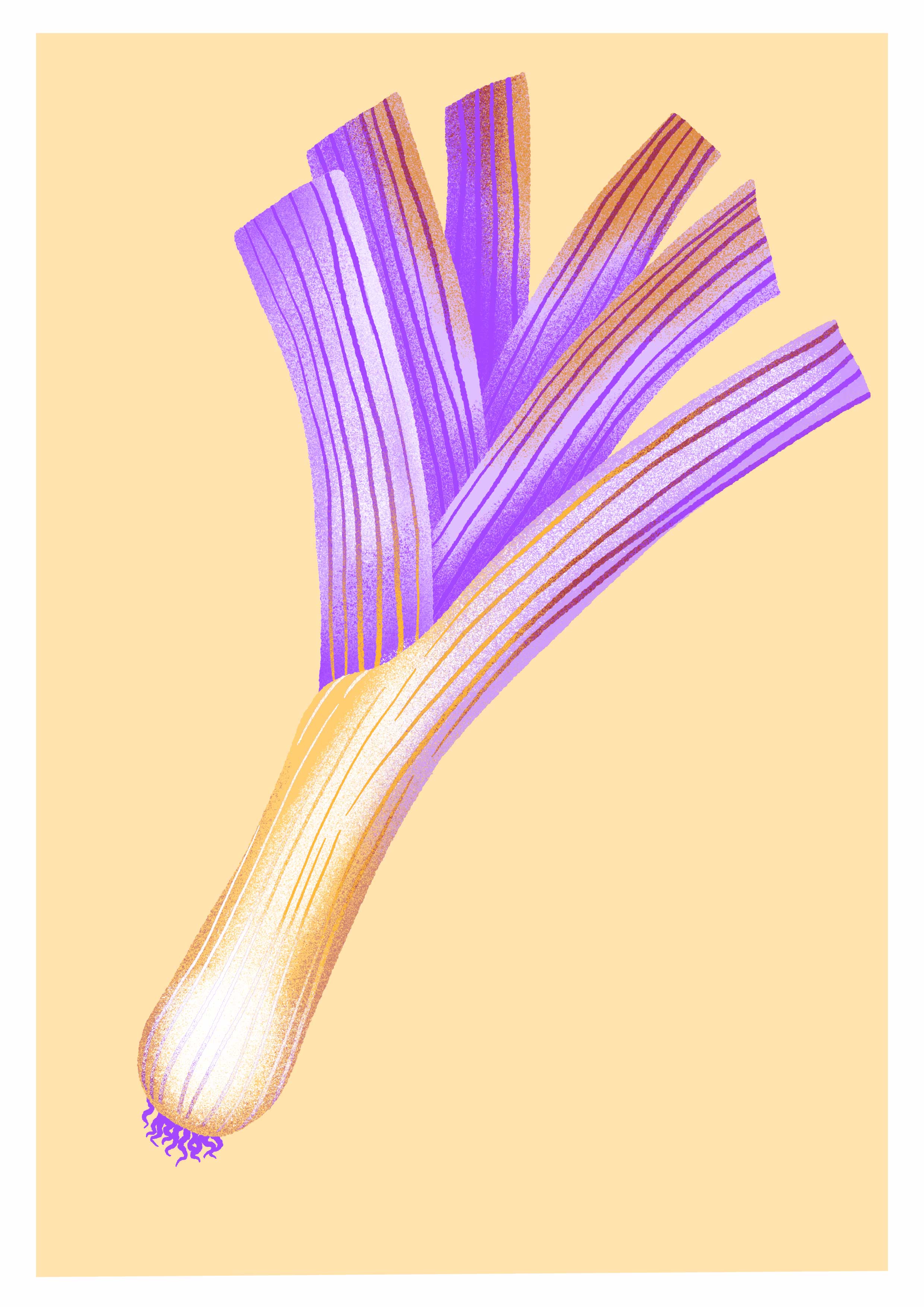 Gemüsekalender Risodruck - Patrizia Stalder - Isabelle Christ - Basel - Schweiz - Illustration - Komposition