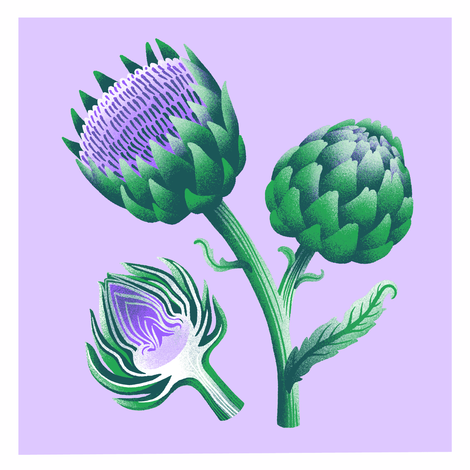 Gemüsekalender Risodruck - Patrizia Stalder - Isabelle Christ - Basel - Schweiz - Illustration - Komposition