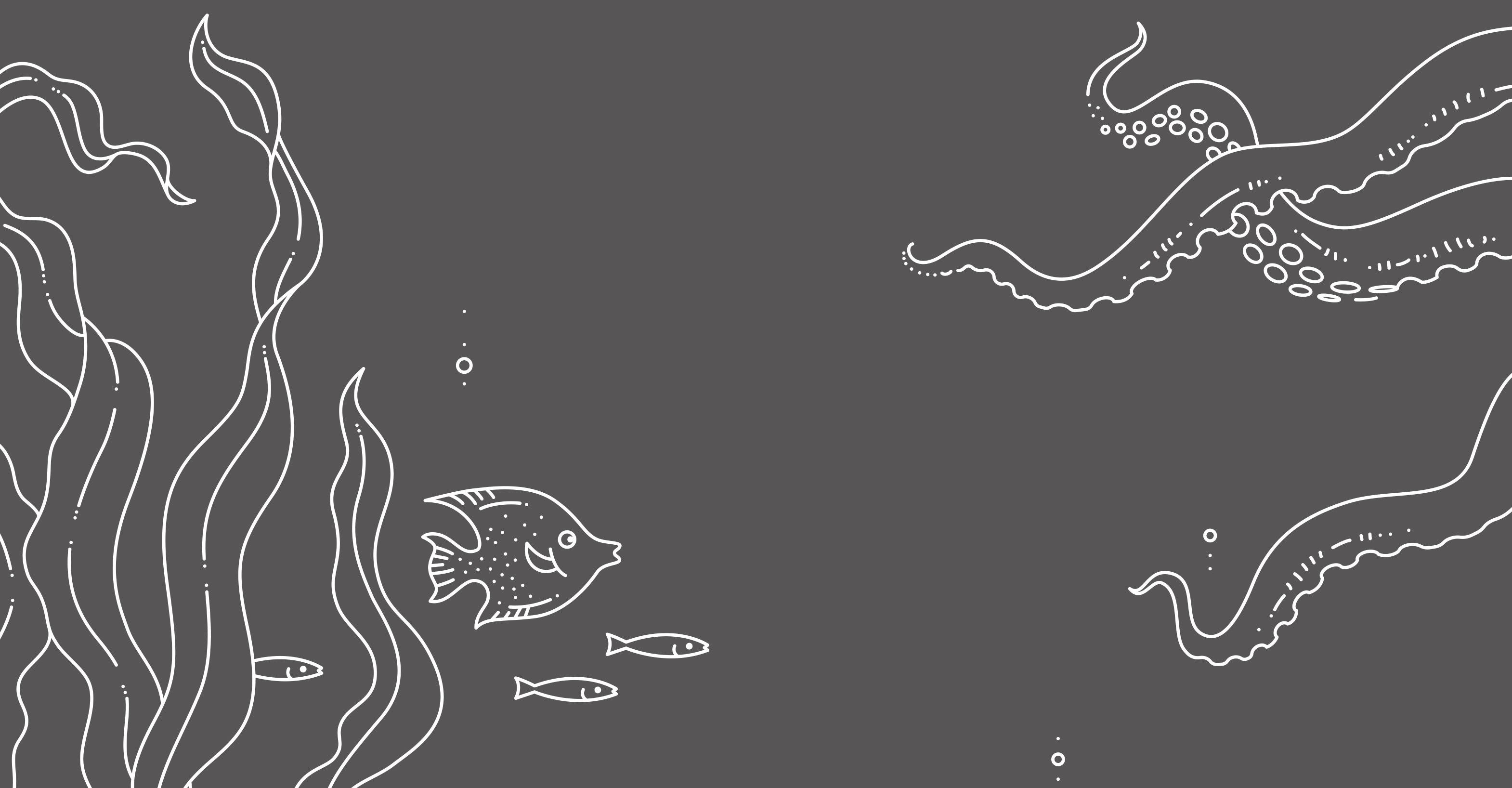 PBL Illustration - Patrizia Stalder - Illustration - Wandmalerei - Grafik Design - Naming & Konzept - Corporate Design - Webdesign (Responsive) - Print Design - Mode Design - Taschen Design - Beschriftung - Fotografie - Malerei - Künstelerin Schweiz - Austellungen Basel - Kunst - Live-