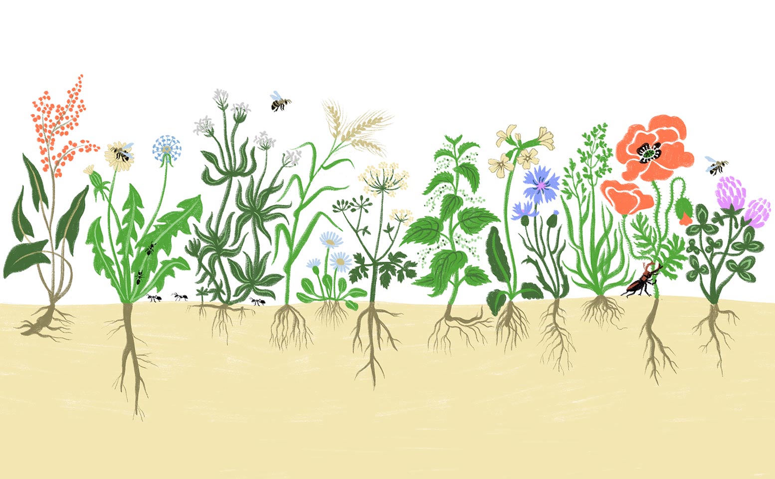 Nachhaltigkeit als Unternehmen - Illustrationen - Patrizia Stalder - Illustration - Wandmalerei - Grafik Design - Naming & Konzept - Corporate Design - Webdesign (Responsive) - Print Design - Mode Design - Taschen Design - Beschriftung - Fotografie - Malerei - Künstelerin Schweiz - Austellungen Basel - Kunst - Live-