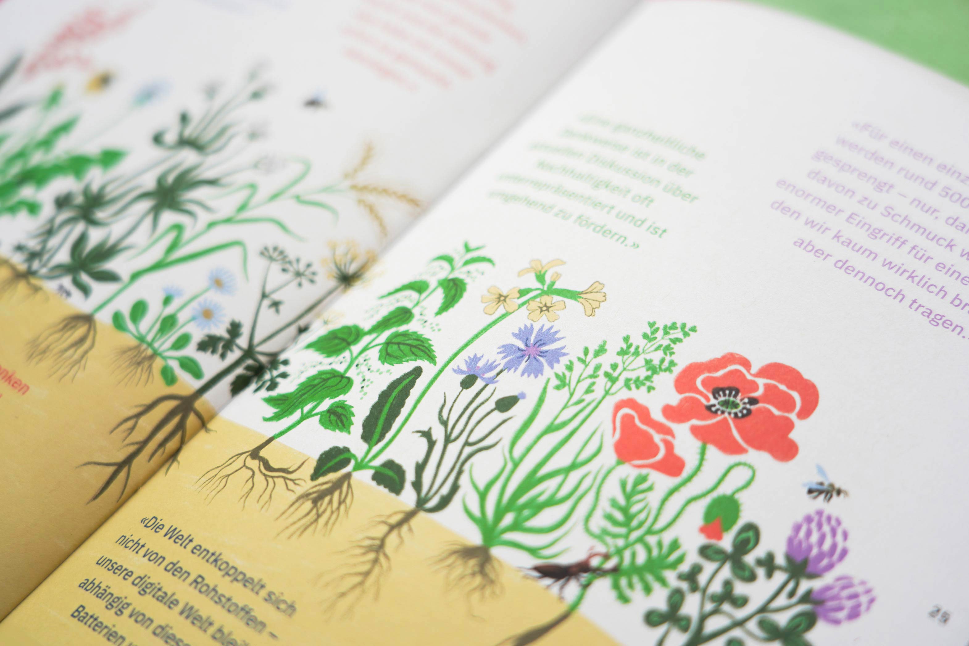 Nachhaltigkeit als Unternehmen - Illustrationen - Patrizia Stalder - Illustration - Wandmalerei - Grafik Design - Naming & Konzept - Corporate Design - Webdesign (Responsive) - Print Design - Mode Design - Taschen Design - Beschriftung - Fotografie - Malerei - Künstelerin Schweiz - Austellungen Basel - Kunst - Live-