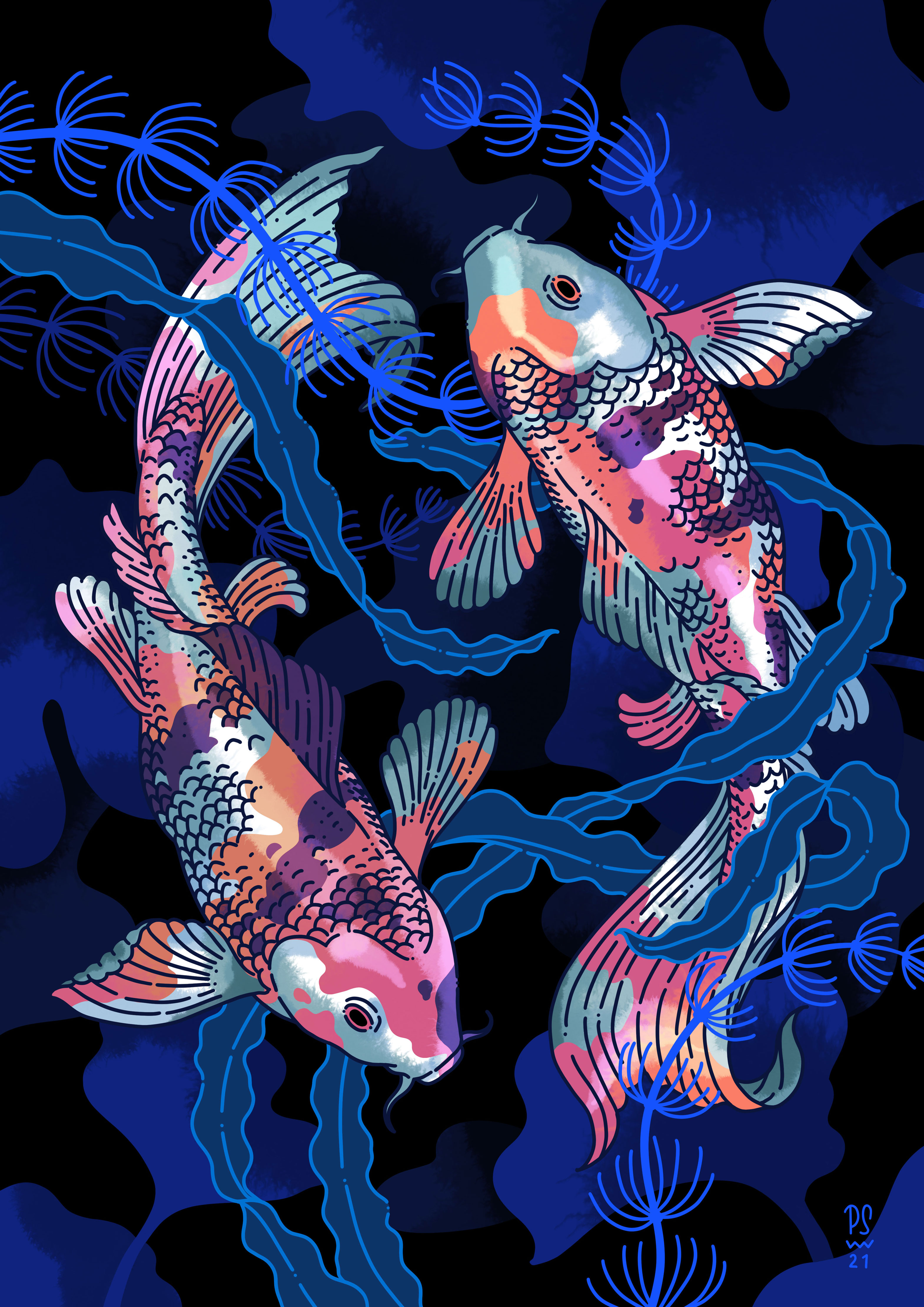 Koi Illustration