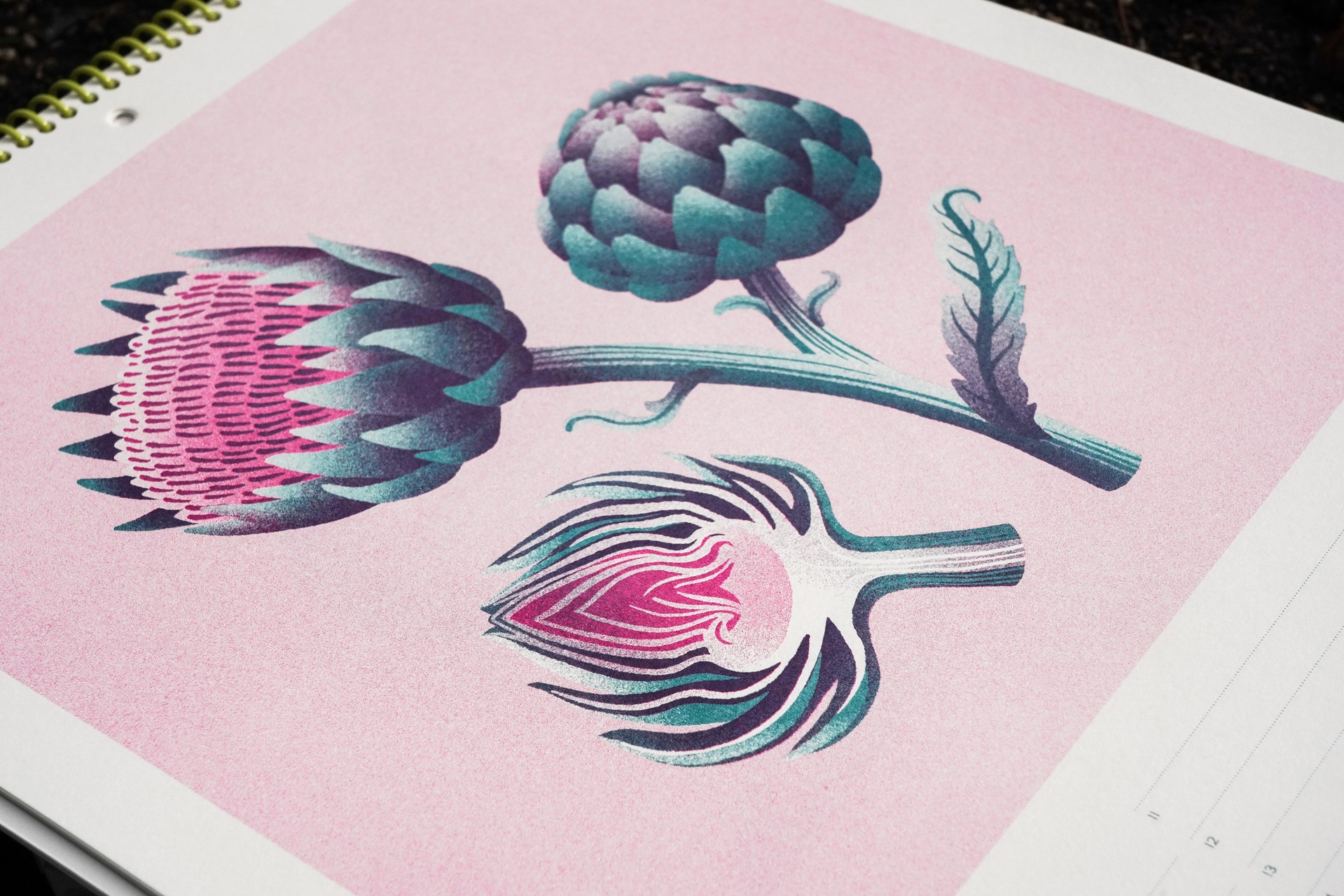 Gemüsekalender Risodruck - Patrizia Stalder - Isabelle Christ - Basel - Schweiz - Illustration - Komposition